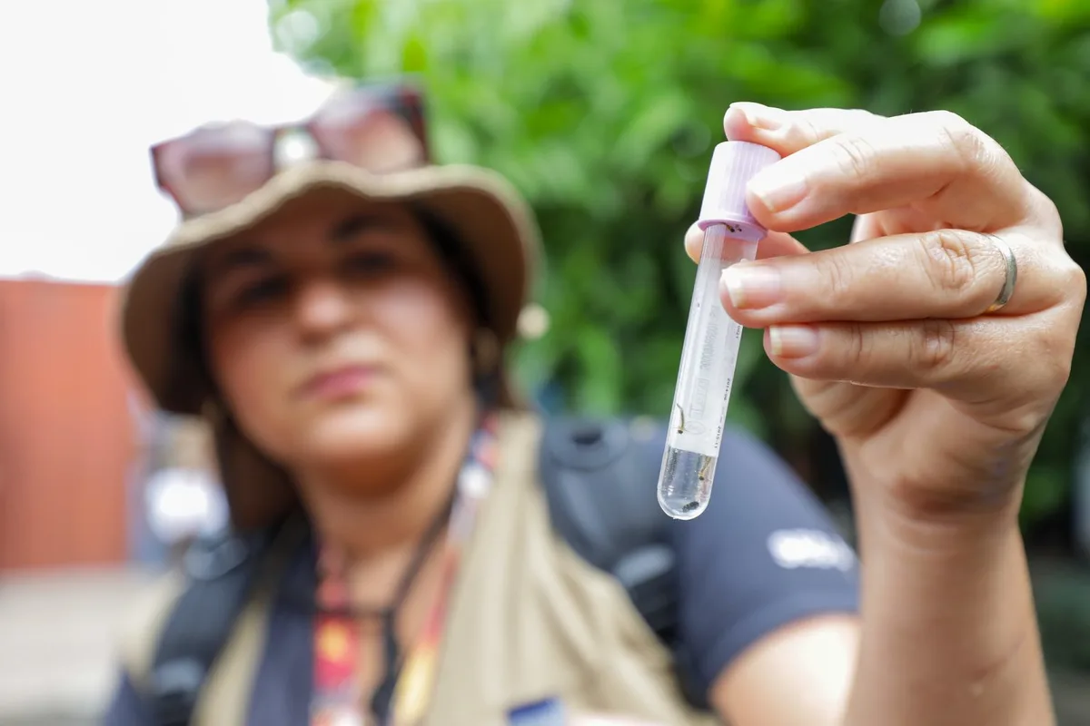 Quase metade dos municípios avaliados tem alerta para o Aedes