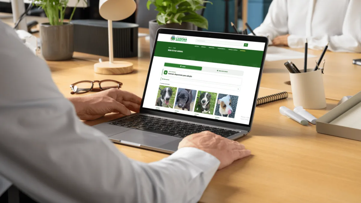 Campina Grande do Sul disponibiliza plataforma para adoção de animais
