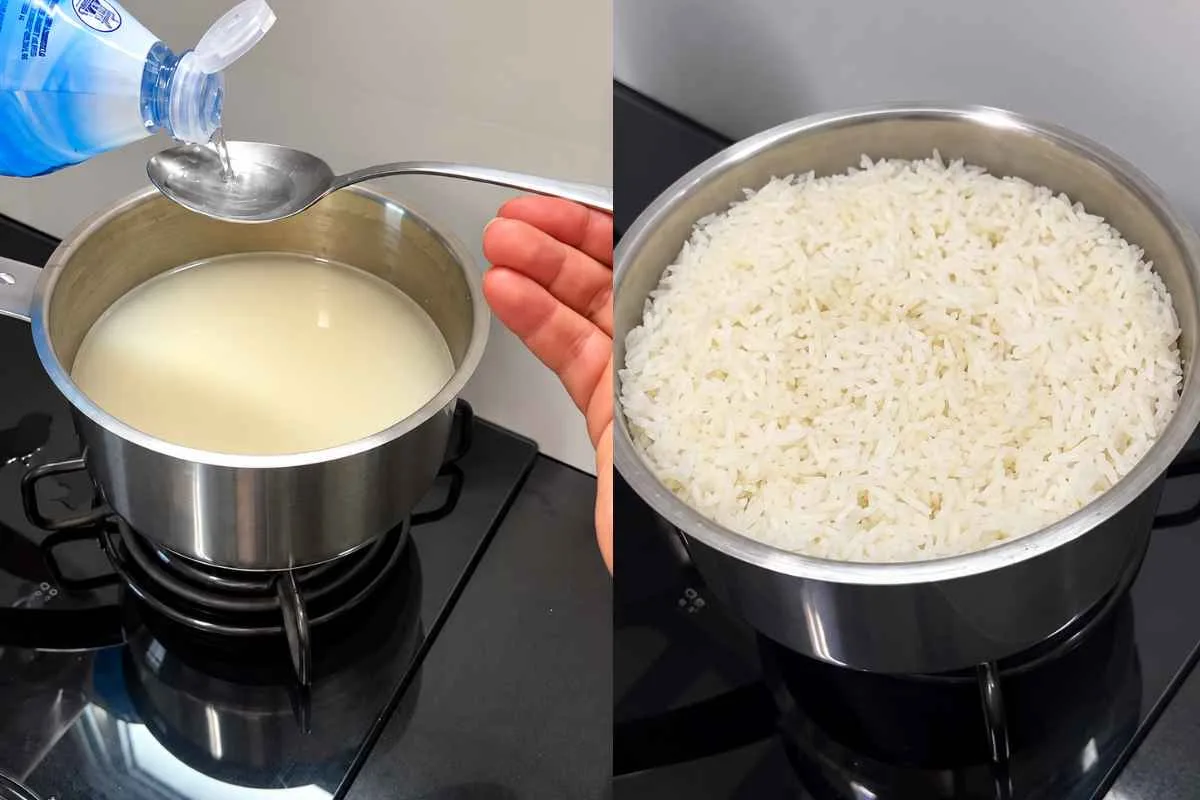 Vinagre no arroz pode alterar brilho e textura dos grãos, explica Kati