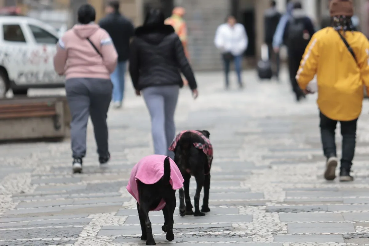 Massa de ar frio avança pelo país e pode causar geadas no Sul