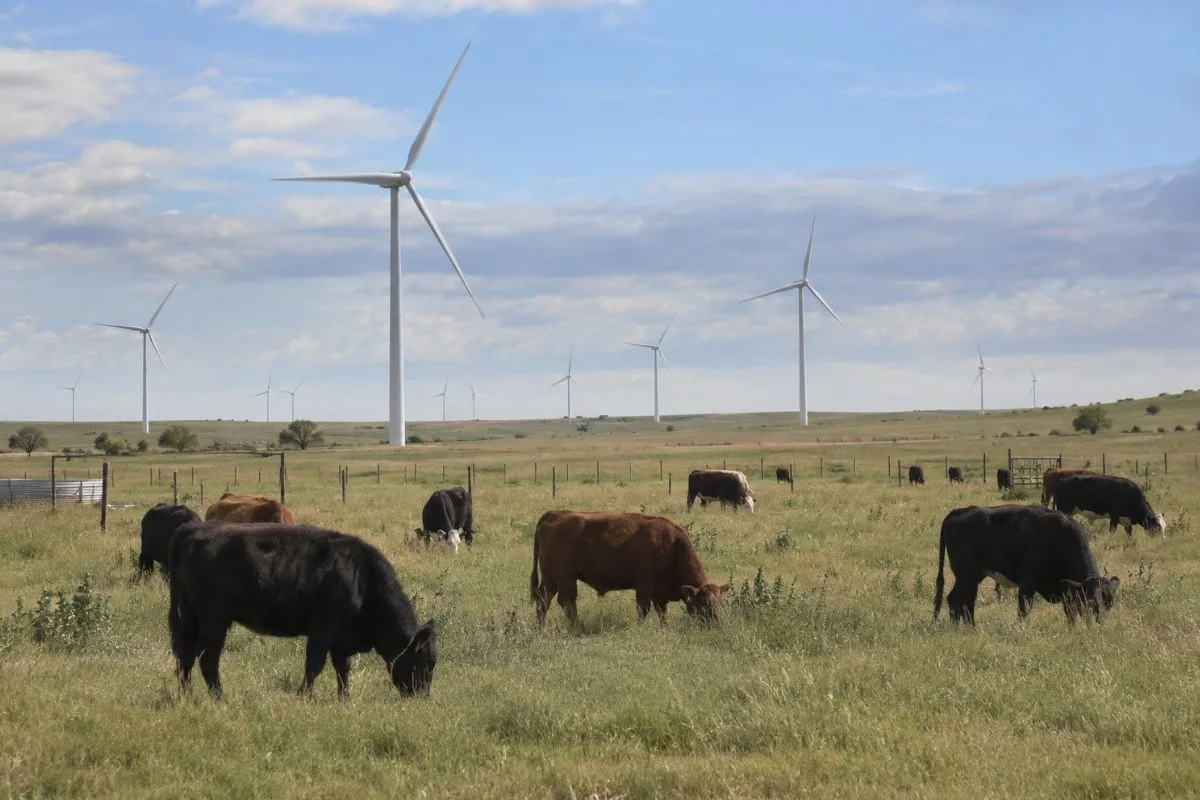 Turbinas e criação de gado dividem rancho da família Ferrell no Kansas