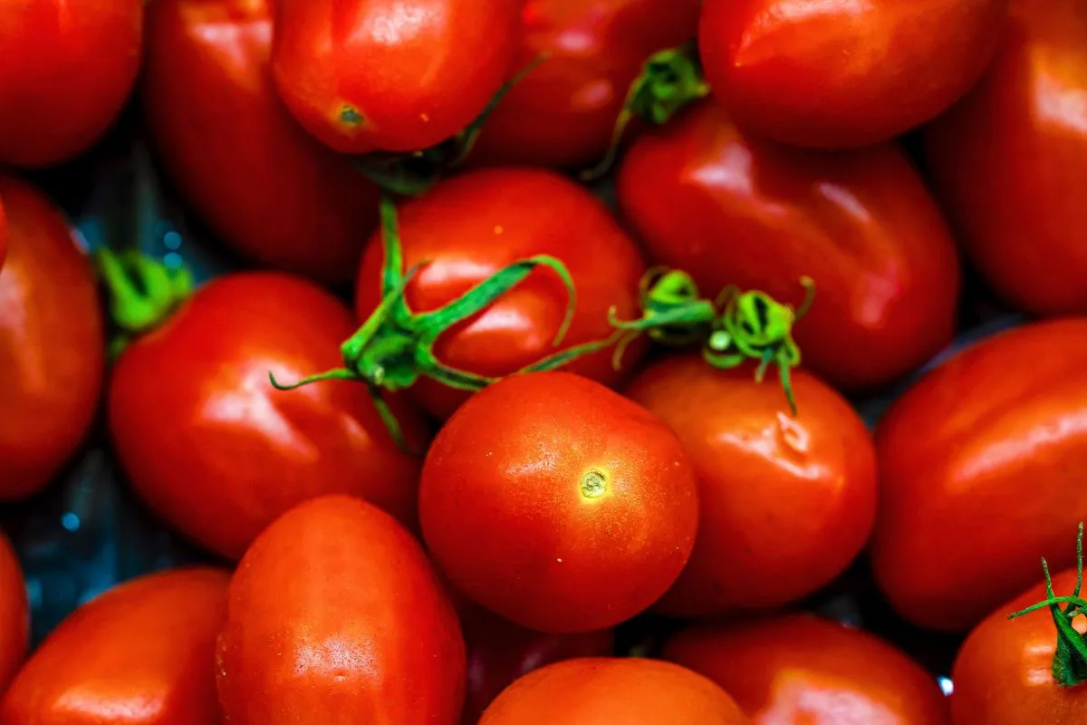 Qual tomate usar em cada receita: diferenças entre cinco tipos