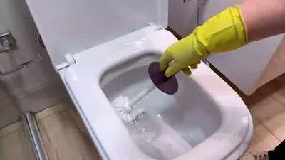 Limpeza do vaso deve começar a seco, orienta engenheiro químico