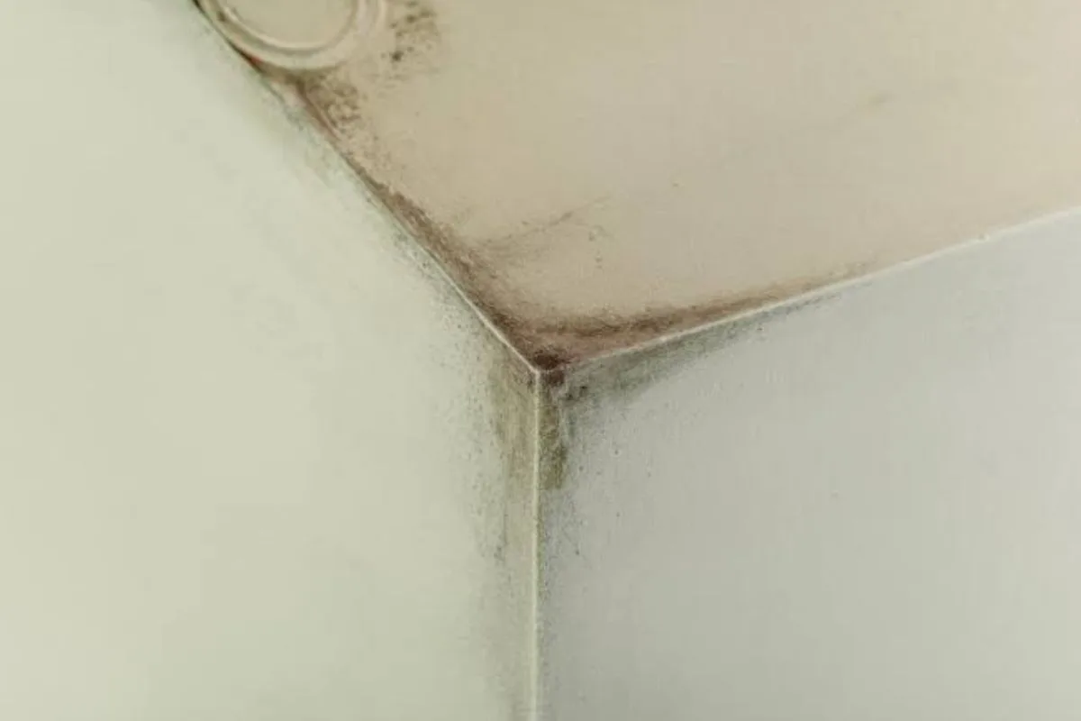 Reparo no telhado exige identificar a origem da infiltração antes da aplicação
