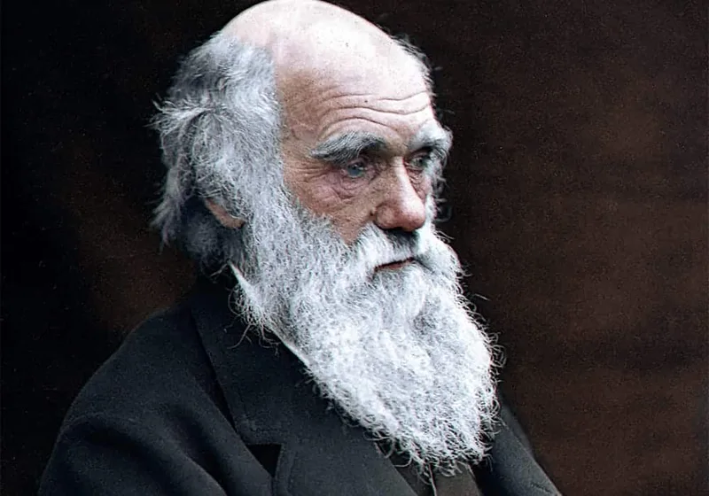 Frase atribuída a Darwin sobre adaptação não foi escrita pelo naturalista