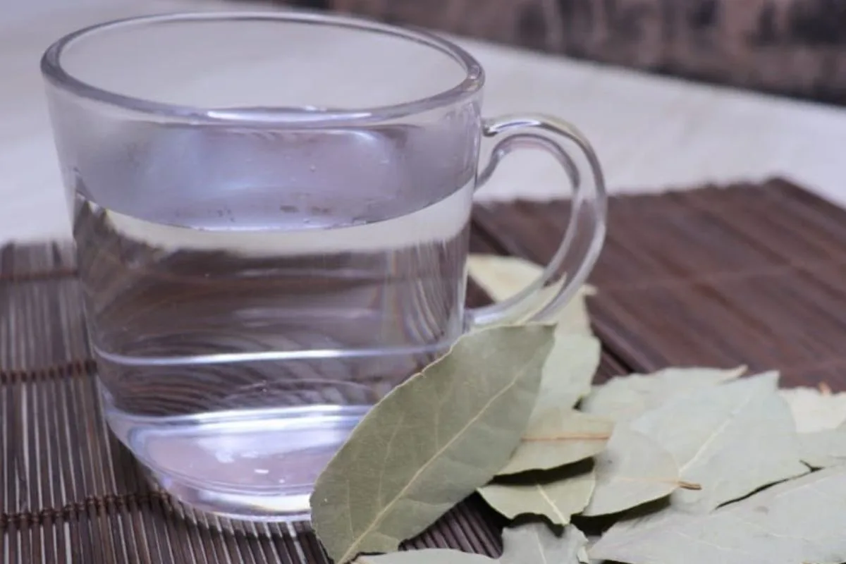 Ritual com louro e água une tradição, intenção positiva e simbolismo