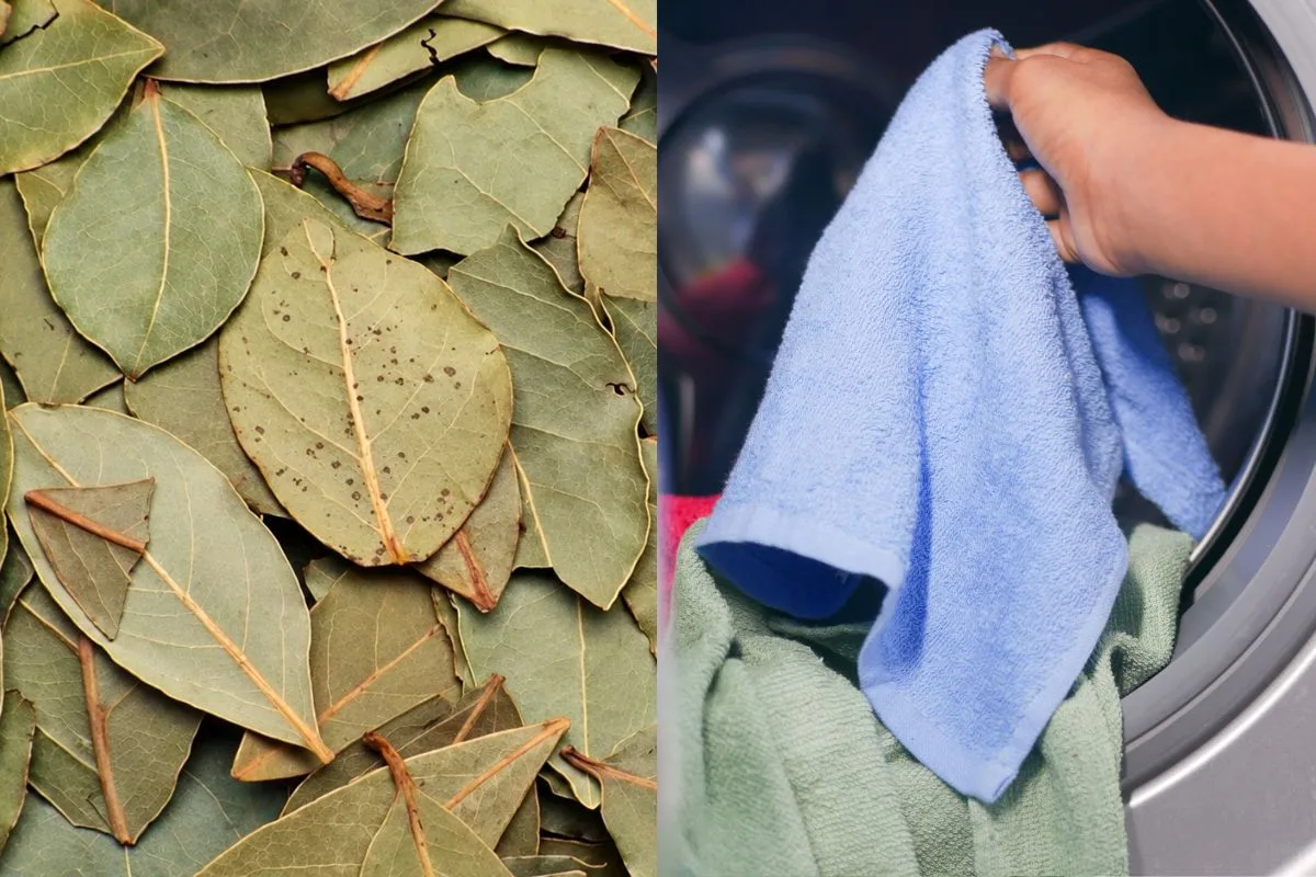 Como usar o louro na lavagem sem espalhar resíduos nas roupas