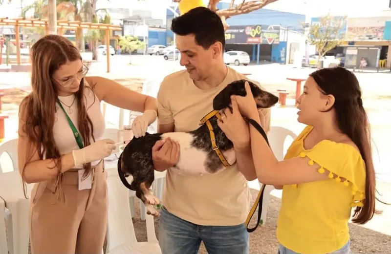 Dia D contra a raiva terá vacinação gratuita em Aparecida de Goiânia