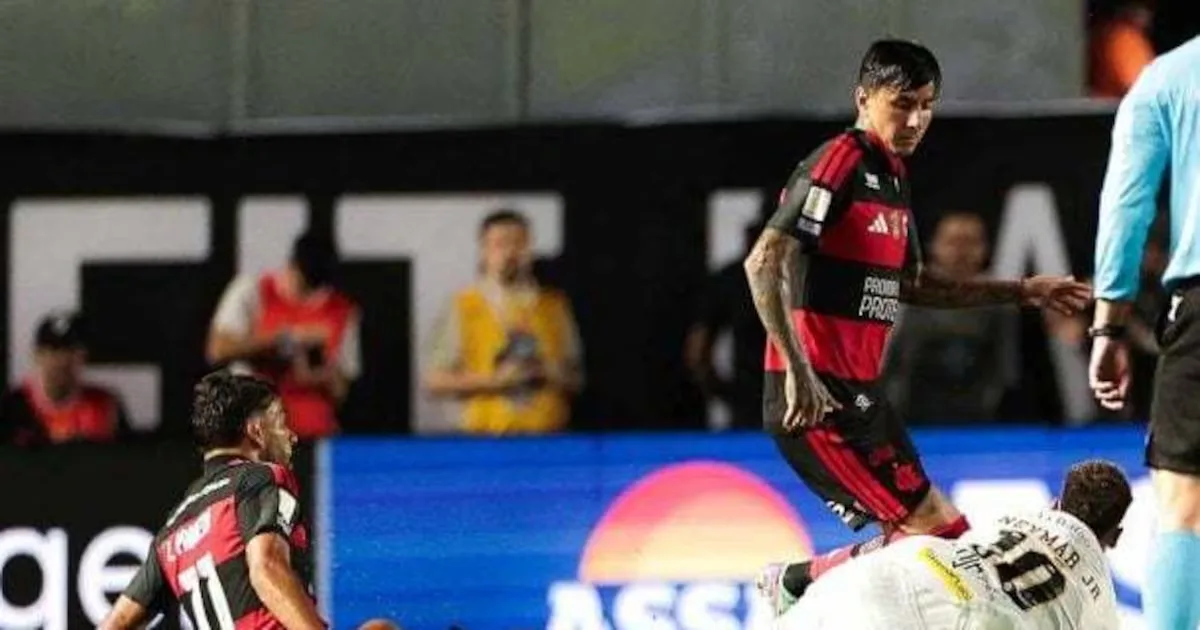 Flamengo contesta quatro decisões e cita sete expulsões no Brasileirão